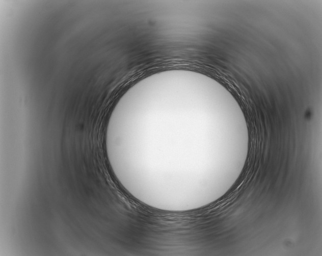 X0000099300427200805020801