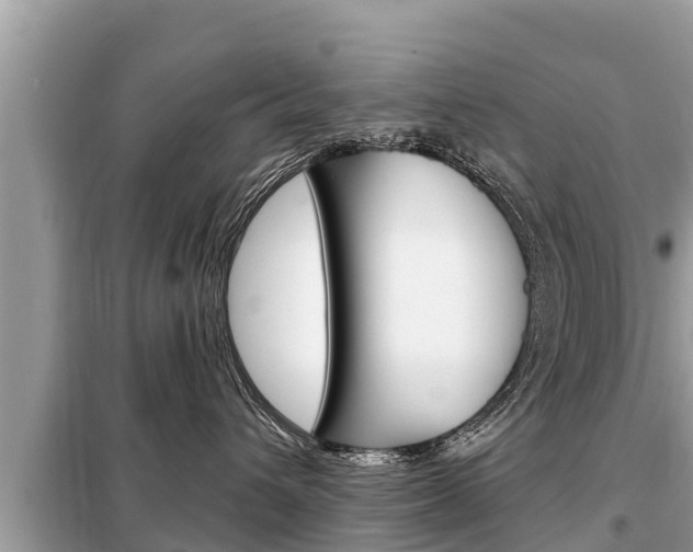X0000099300432200805020801