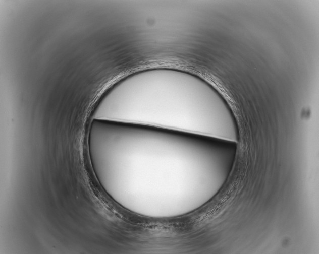 X0000099300434200805020801