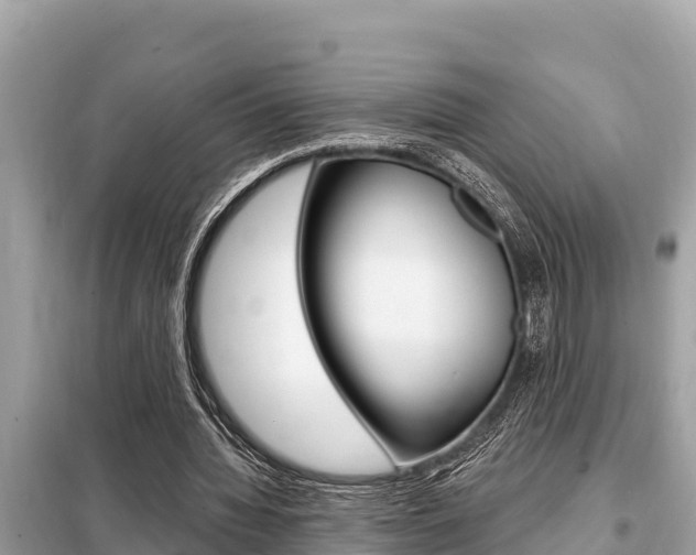 X0000099300436200805020801