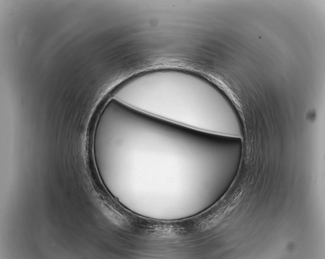 X0000099300439200805020801