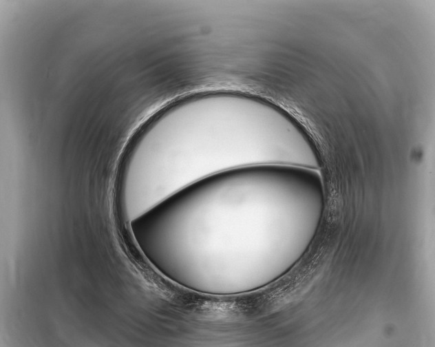 X0000099300440200805020801