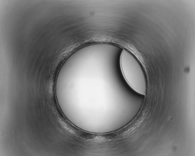 X0000099300441200805020801