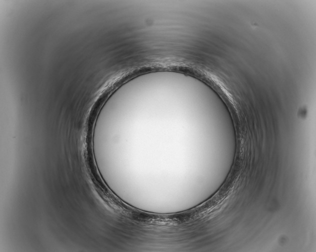 X0000099300443200805020801