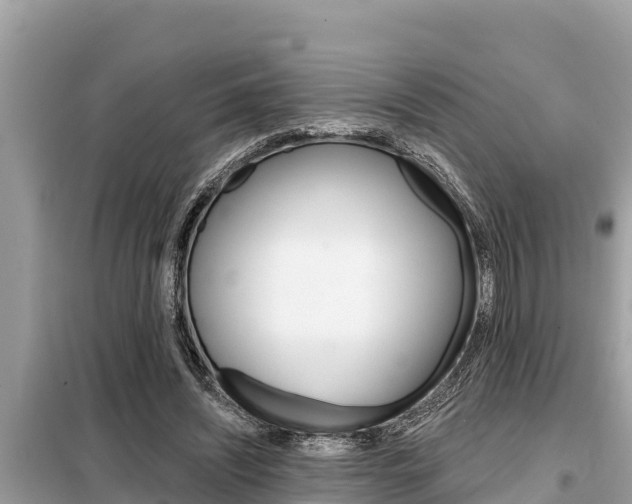 X0000099300444200805020801