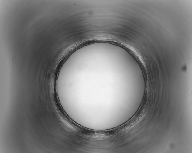 X0000099300445200805020801
