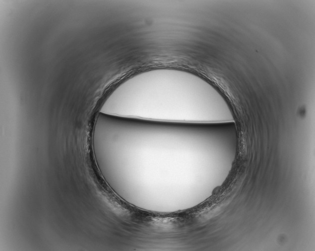 X0000099300450200805020801
