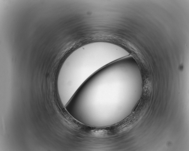 X0000099300452200805020801