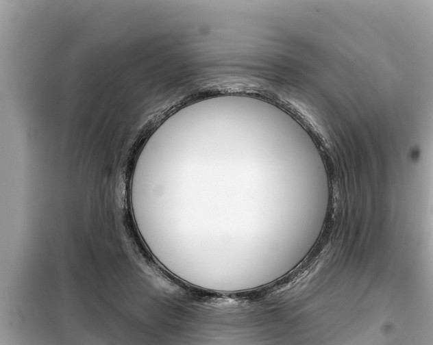 X0000099300453200805020801