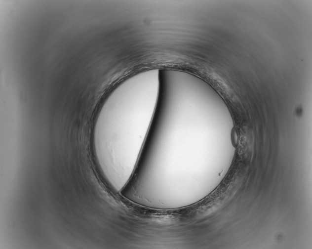 X0000099300454200805020801