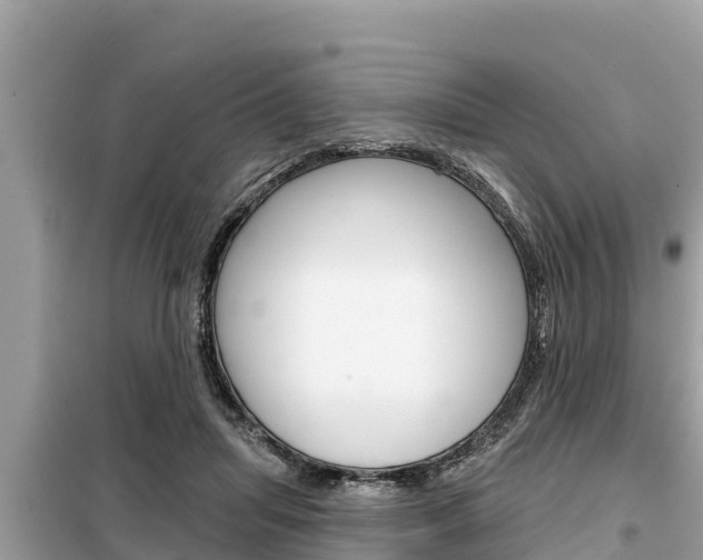 X0000099300455200805020801