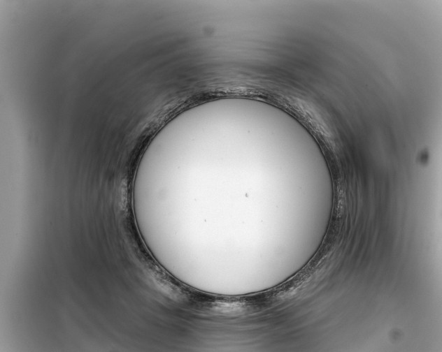 X0000099300457200805020801