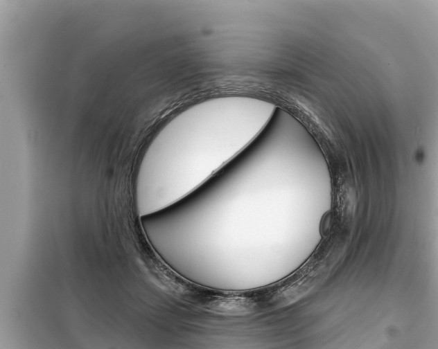 X0000099300459200805020801