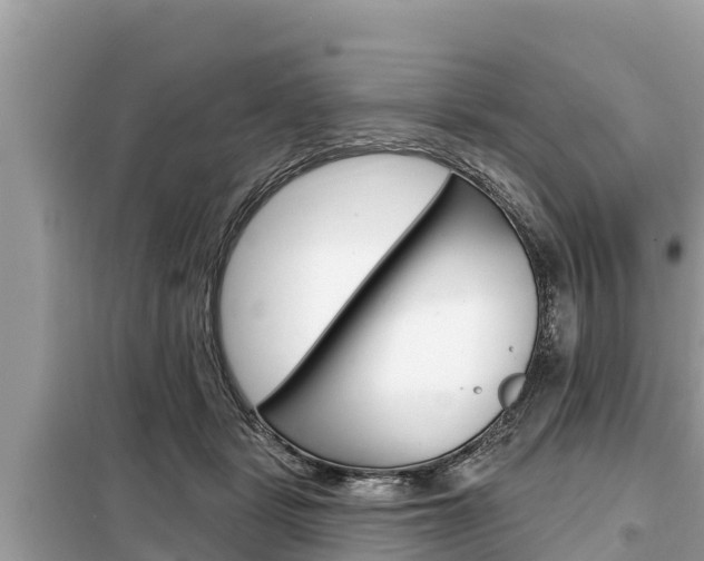 X0000099300461200805020801