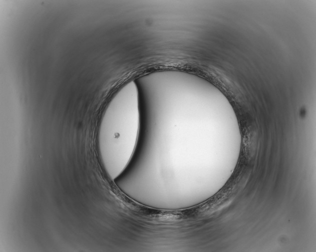 X0000099300462200805020801