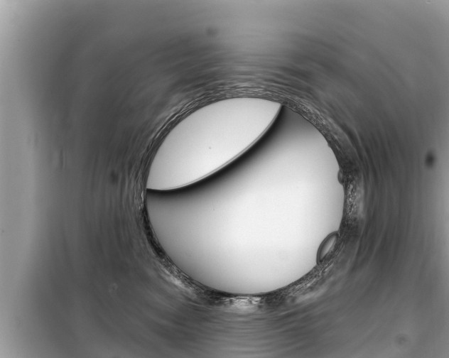 X0000099300474200805020801