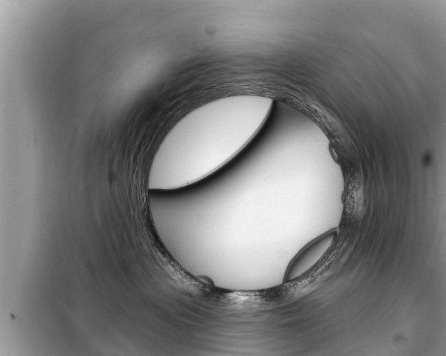 X0000099300477200805020801