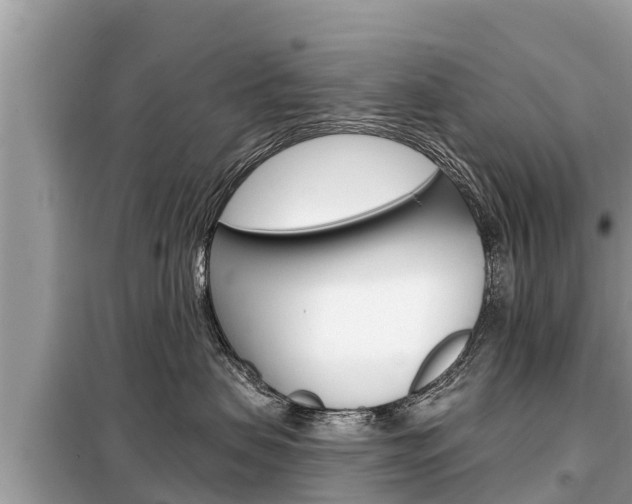 X0000099300479200805020801