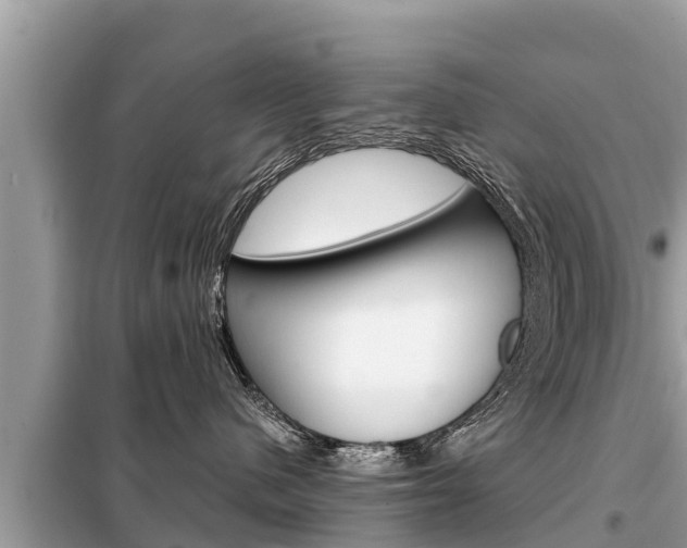 X0000099300480200805020801