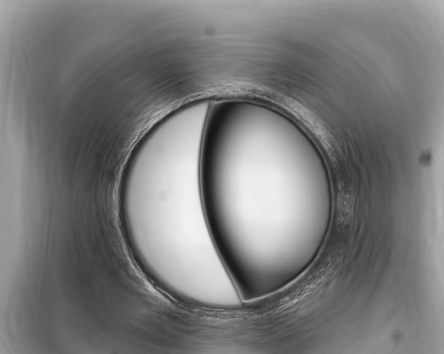 X0000099300485200805020801