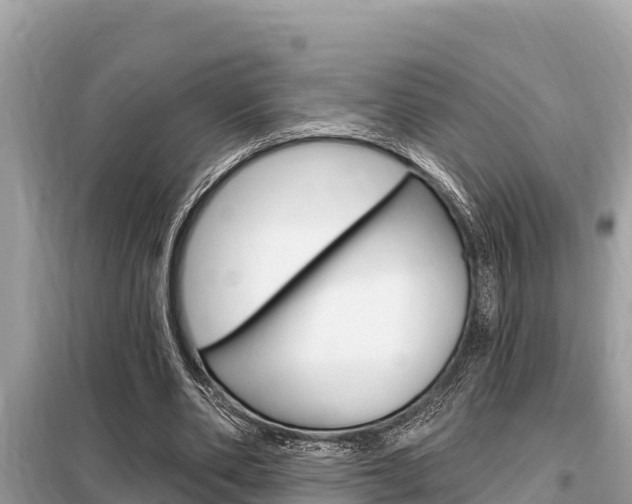 X0000099300486200805020801