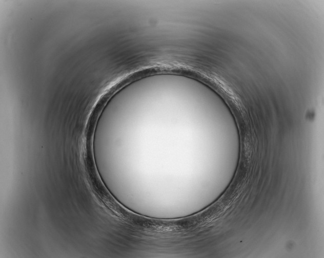 X0000099300488200805020801
