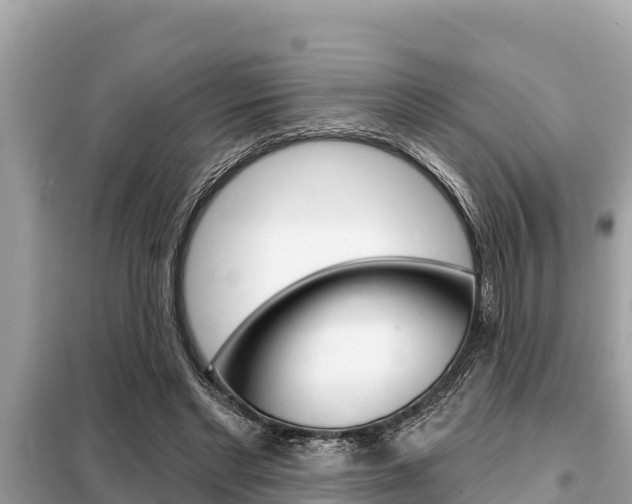 X0000099300493200805020800