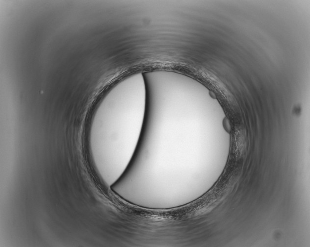 X0000099300494200805020800