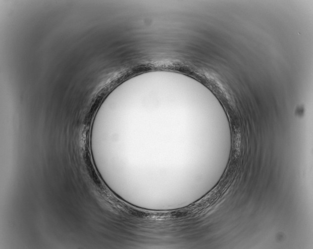 X0000099300495200805020800