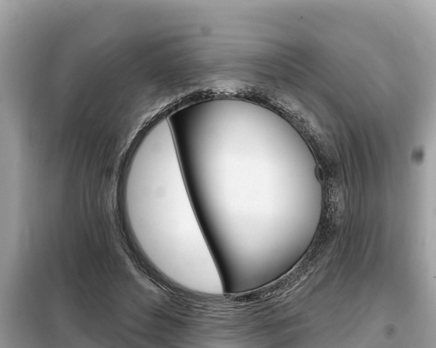 X0000099300496200805020800