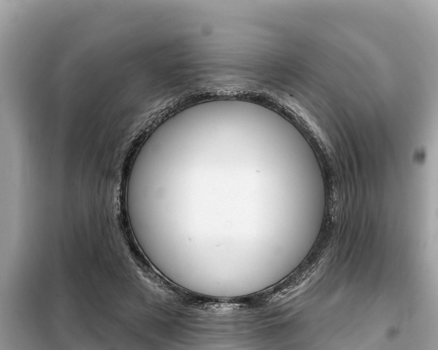 X0000099300497200805020800
