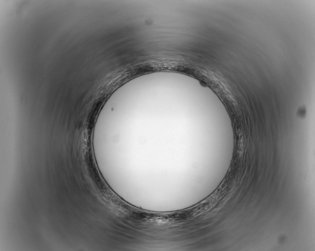 X0000099300498200805020800