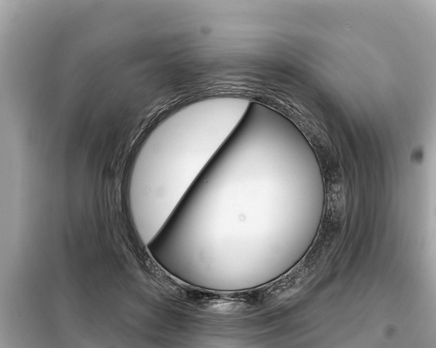 X0000099300504200805020800