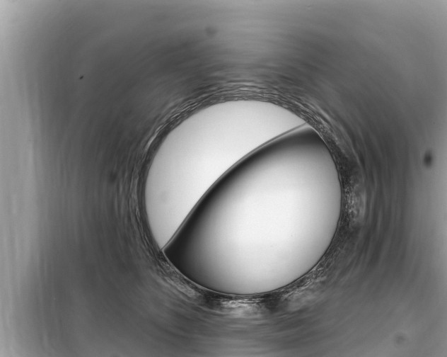 X0000099300516200805020800