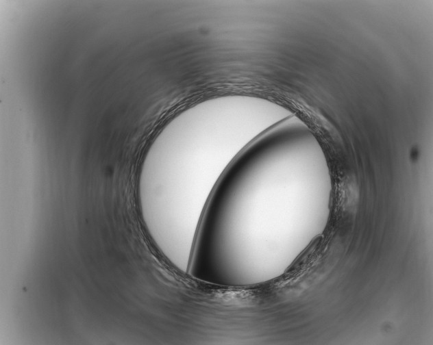 X0000099300517200805020800