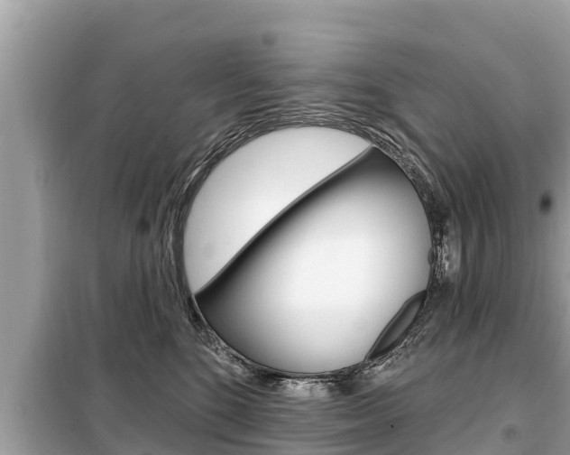 X0000099300520200805020800