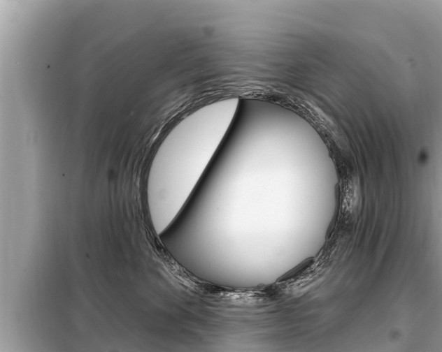 X0000099300524200805020800