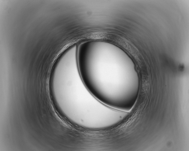 X0000099300530200805020759