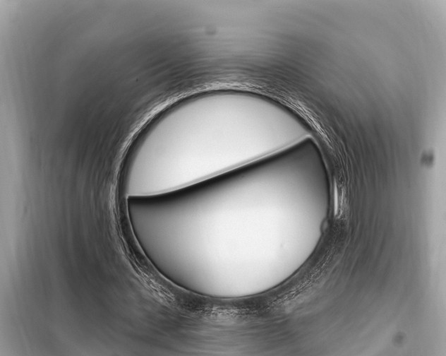 X0000099300531200805020759