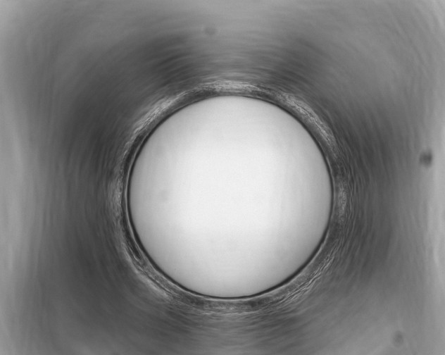 X0000099300533200805020759