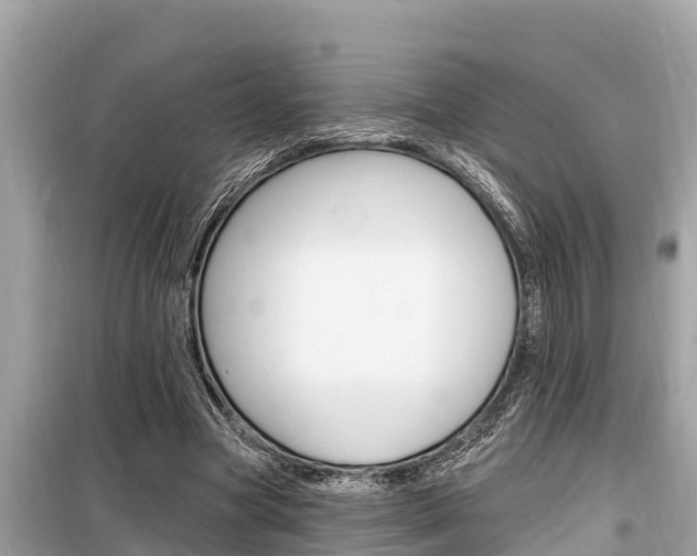 X0000099300537200805020759