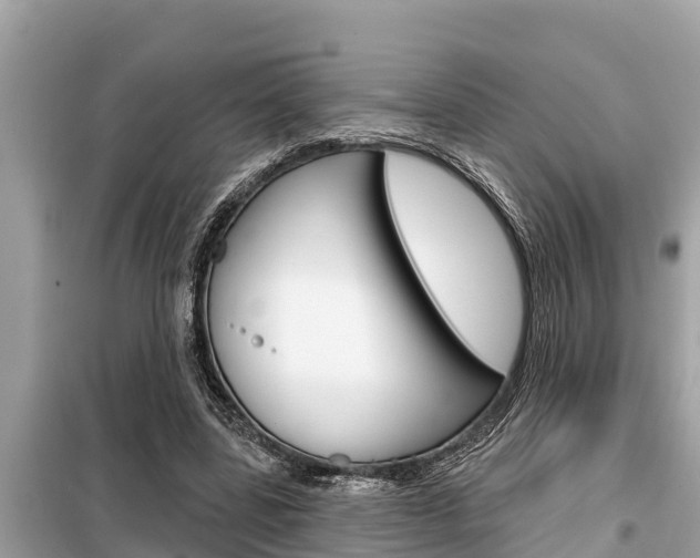 X0000099300539200805020759