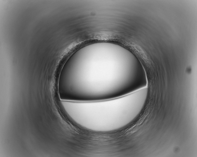 X0000099300540200805020759