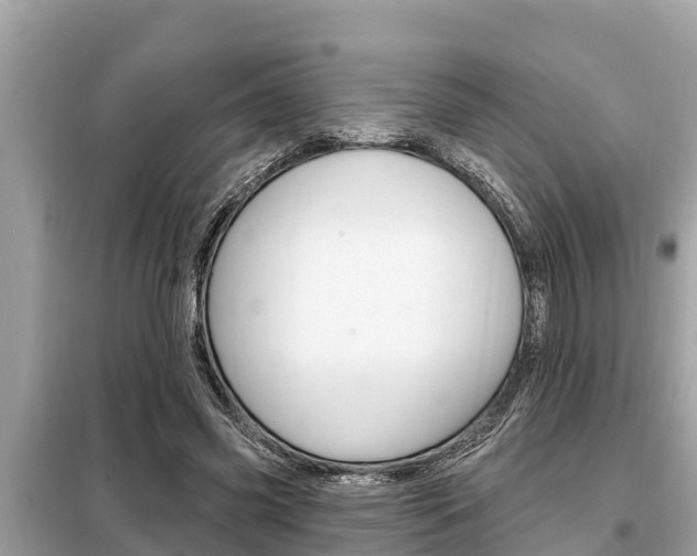 X0000099300541200805020759
