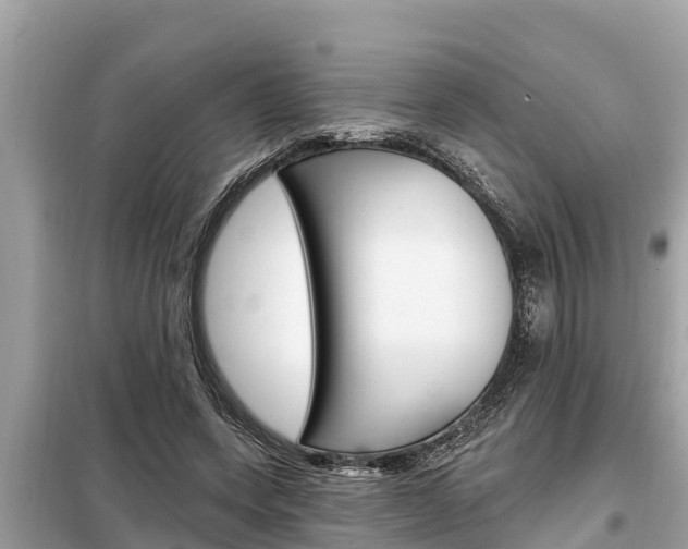 X0000099300543200805020759