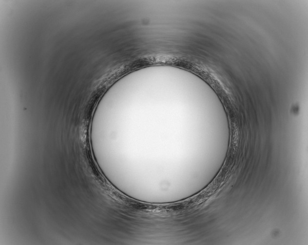 X0000099300545200805020759