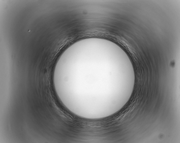 X0000099300546200805020759