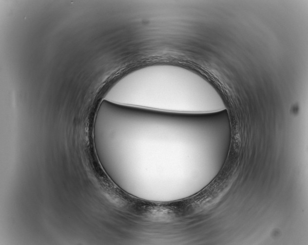 X0000099300547200805020759