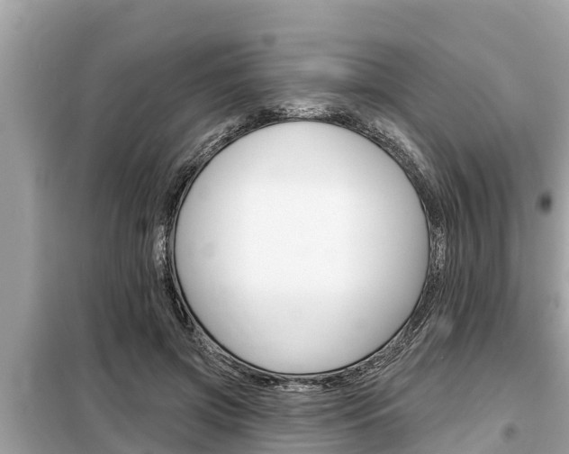 X0000099300549200805020759