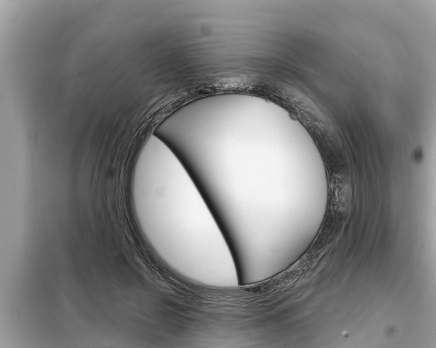 X0000099300550200805020759